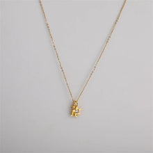 Load image into Gallery viewer, 42767407972558