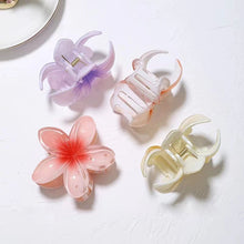 Load image into Gallery viewer, Hawaiian Bloom Pastel Clip
